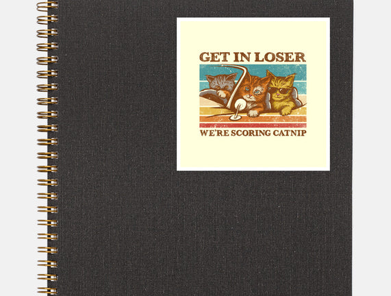 We're Scoring Catnip