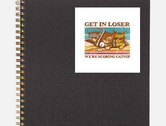 We're Scoring Catnip