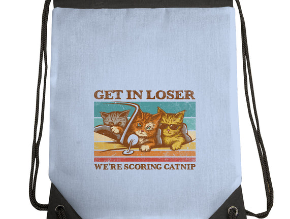 We're Scoring Catnip
