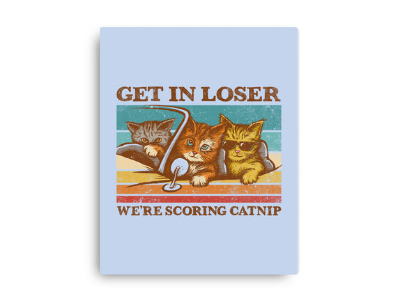 We're Scoring Catnip