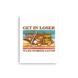 We're Scoring Catnip