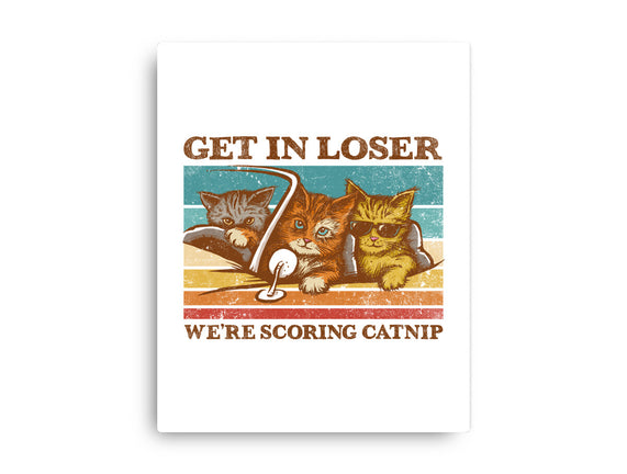 We're Scoring Catnip