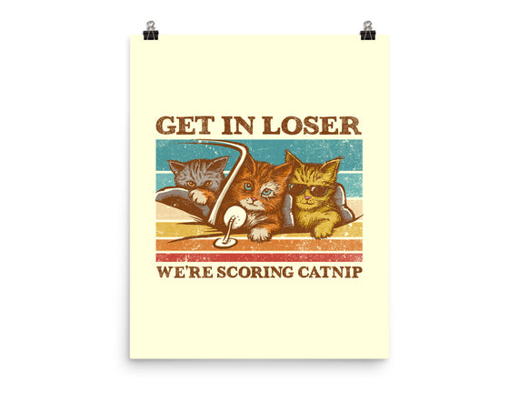 We're Scoring Catnip