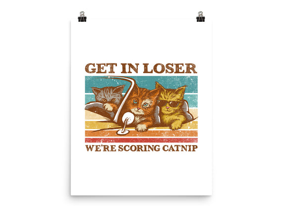 We're Scoring Catnip