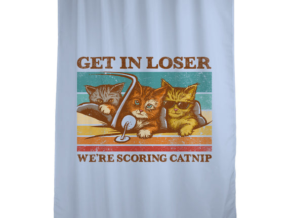 We're Scoring Catnip