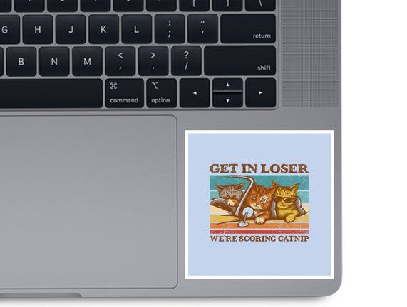 We're Scoring Catnip