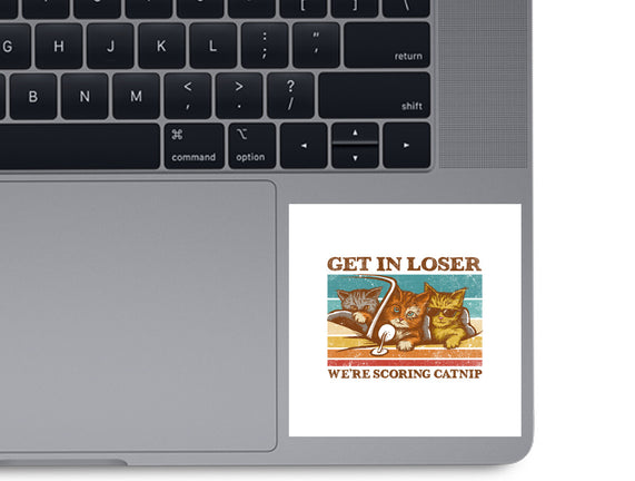 We're Scoring Catnip