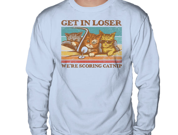 We're Scoring Catnip