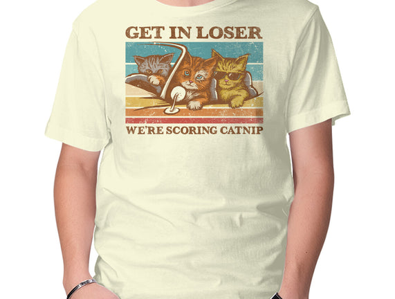 We're Scoring Catnip