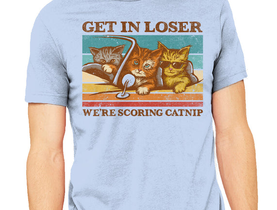 We're Scoring Catnip