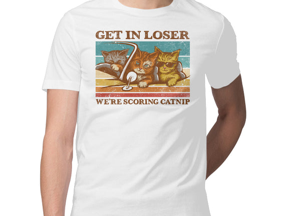 We're Scoring Catnip