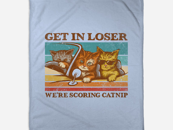 We're Scoring Catnip