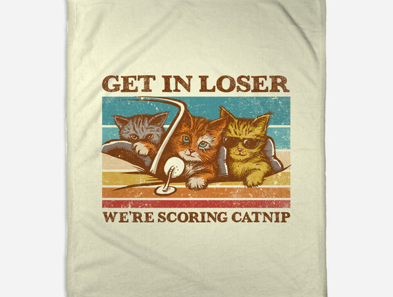 We're Scoring Catnip