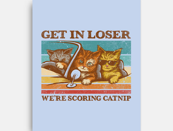 We're Scoring Catnip