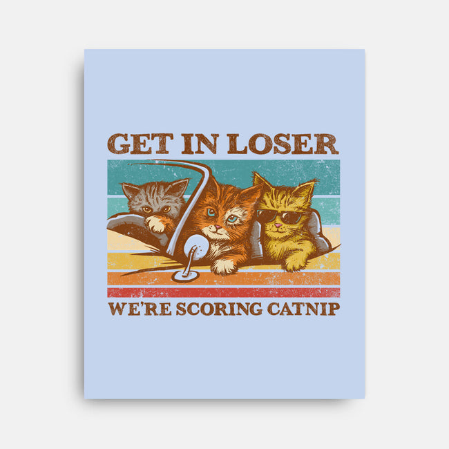 We're Scoring Catnip-None-Stretched-Canvas-kg07