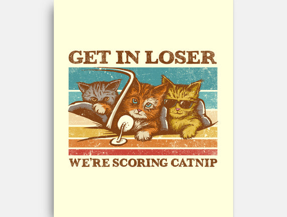 We're Scoring Catnip