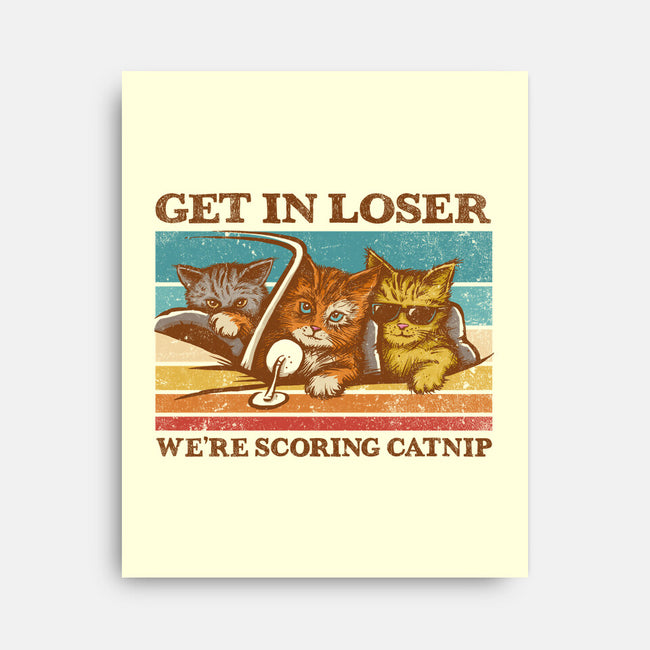 We're Scoring Catnip-None-Stretched-Canvas-kg07