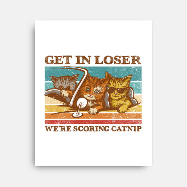 We're Scoring Catnip-None-Stretched-Canvas-kg07