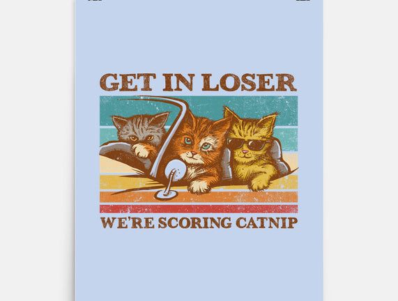 We're Scoring Catnip