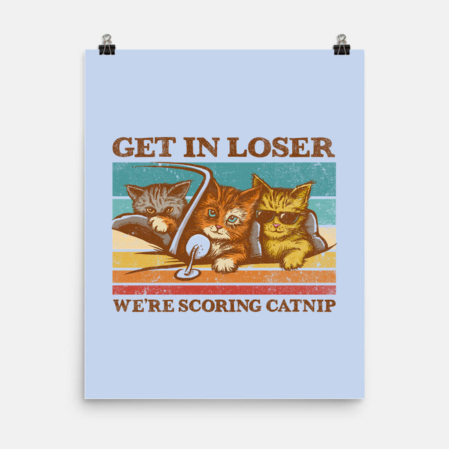 We're Scoring Catnip-None-Matte-Poster-kg07