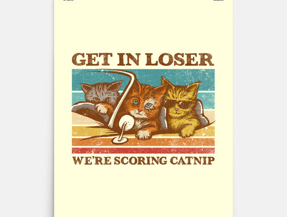 We're Scoring Catnip