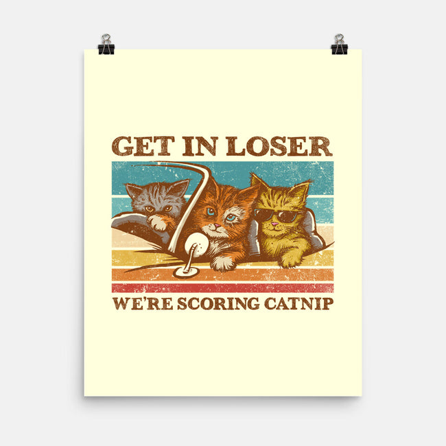We're Scoring Catnip-None-Matte-Poster-kg07