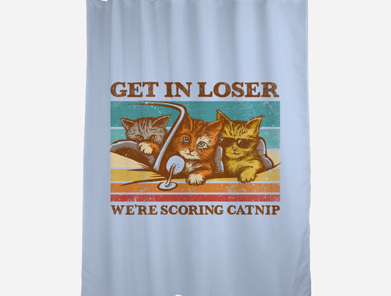 We're Scoring Catnip