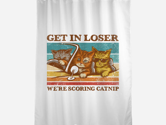 We're Scoring Catnip