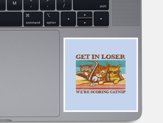 We're Scoring Catnip