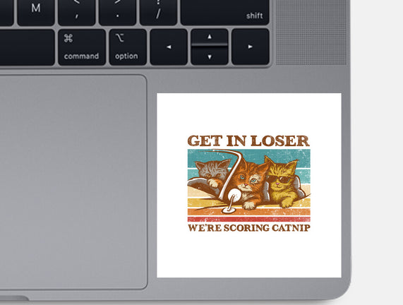 We're Scoring Catnip