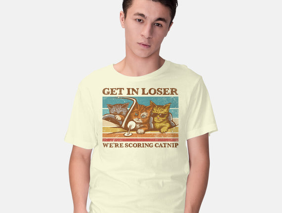 We're Scoring Catnip