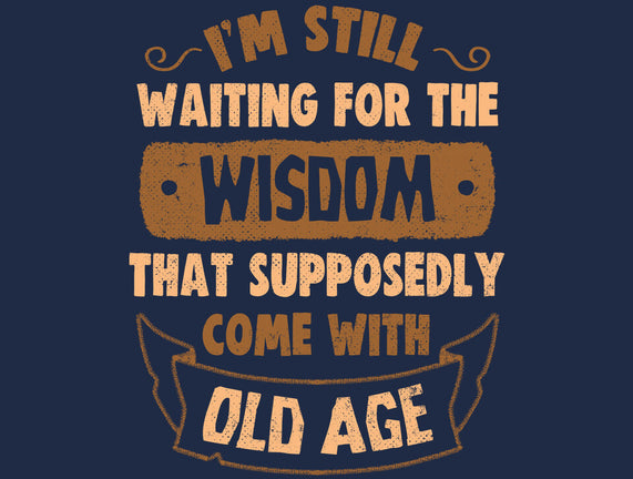 Still Waiting For The Wisdom