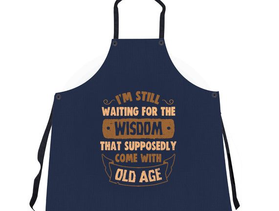 Still Waiting For The Wisdom