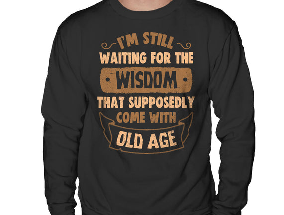 Still Waiting For The Wisdom