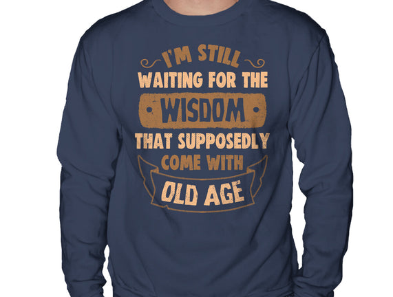 Still Waiting For The Wisdom
