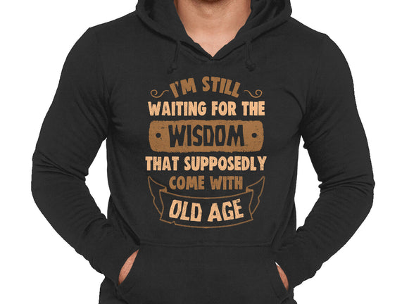 Still Waiting For The Wisdom