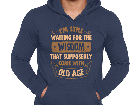 Still Waiting For The Wisdom
