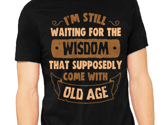 Still Waiting For The Wisdom