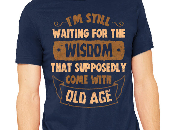 Still Waiting For The Wisdom