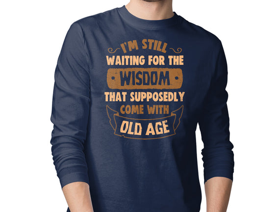Still Waiting For The Wisdom