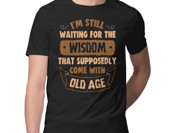 Still Waiting For The Wisdom
