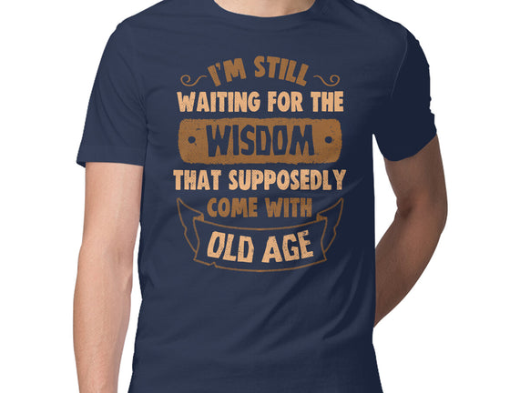 Still Waiting For The Wisdom