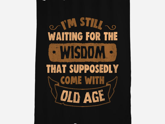 Still Waiting For The Wisdom