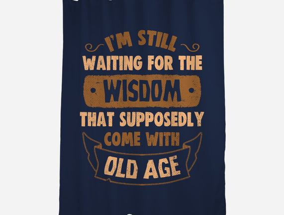 Still Waiting For The Wisdom