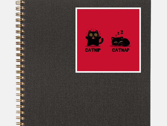 Catnip Catnap