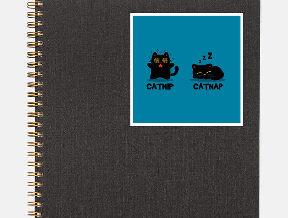 Catnip Catnap