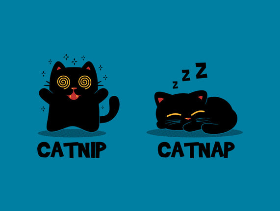 Catnip Catnap