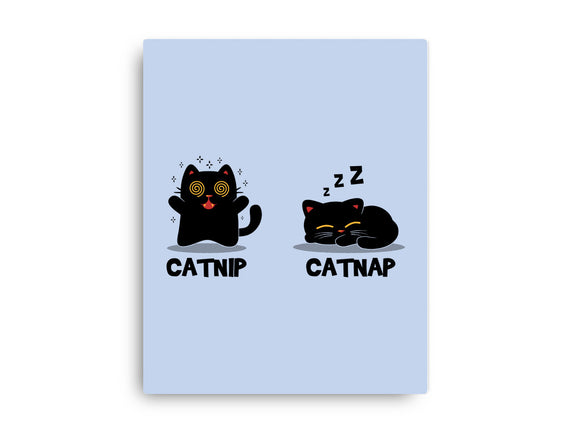 Catnip Catnap