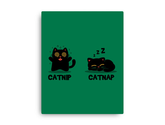 Catnip Catnap