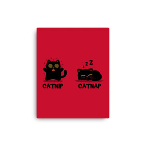 Catnip Catnap